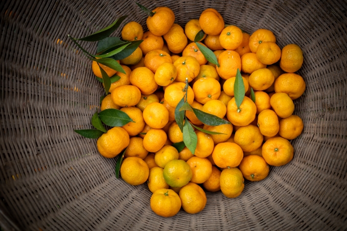 助力高效应对食品农残检测挑战